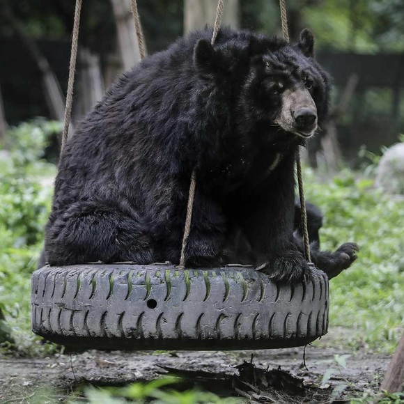 Meet your Posher, Alex - Picture 1 of 1